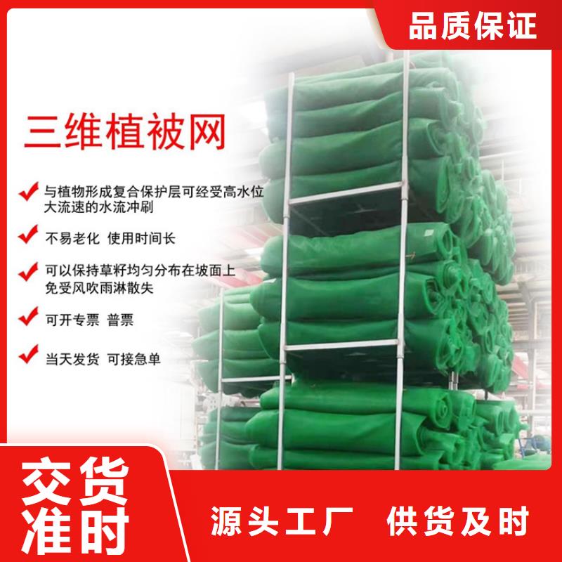 塑料盲沟-视频-福建省福州市|罗源|连江|龙岩|南平|三明|漳州|莆田|宁德|厦门塑料盲沟-中齐