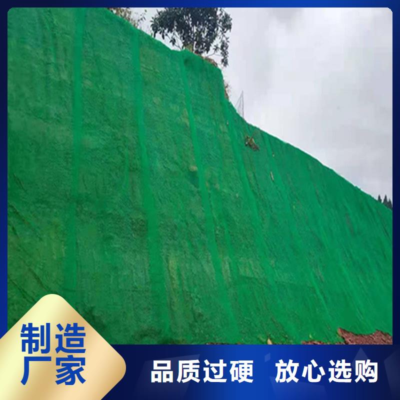 三维植被网HDPE土工膜当地货源