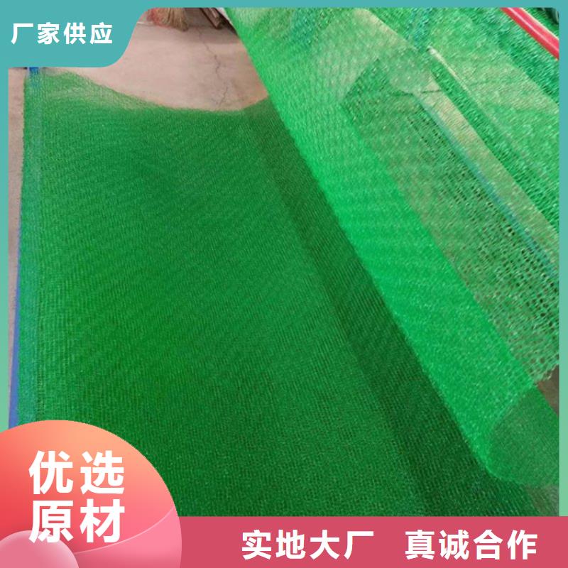 三维植被网防渗膜大厂生产品质
