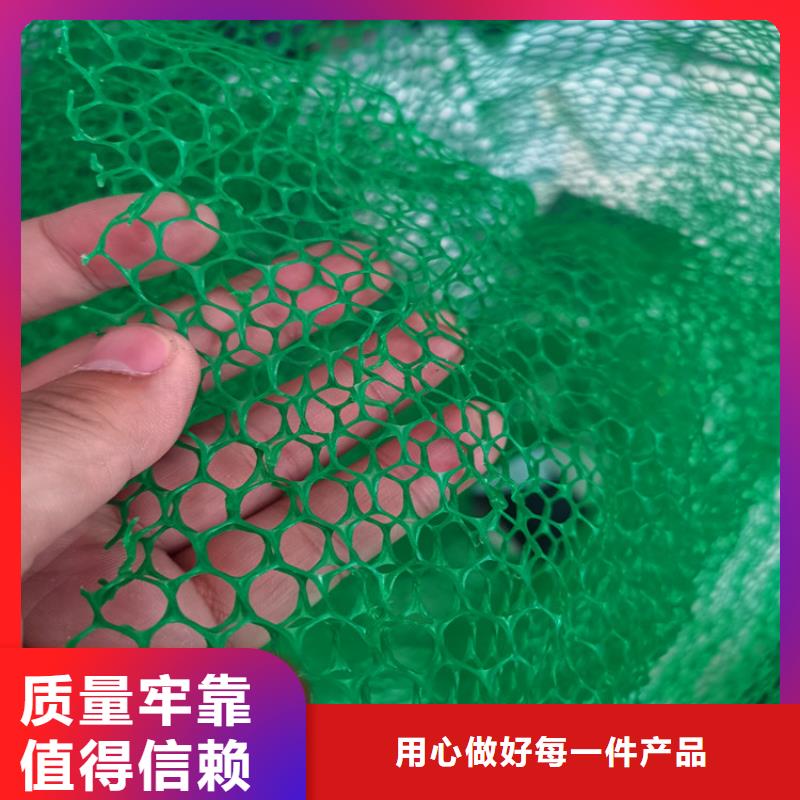 环保EM2三维土工网垫