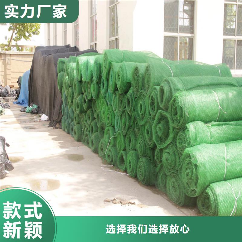 三维植被网防渗膜大厂生产品质