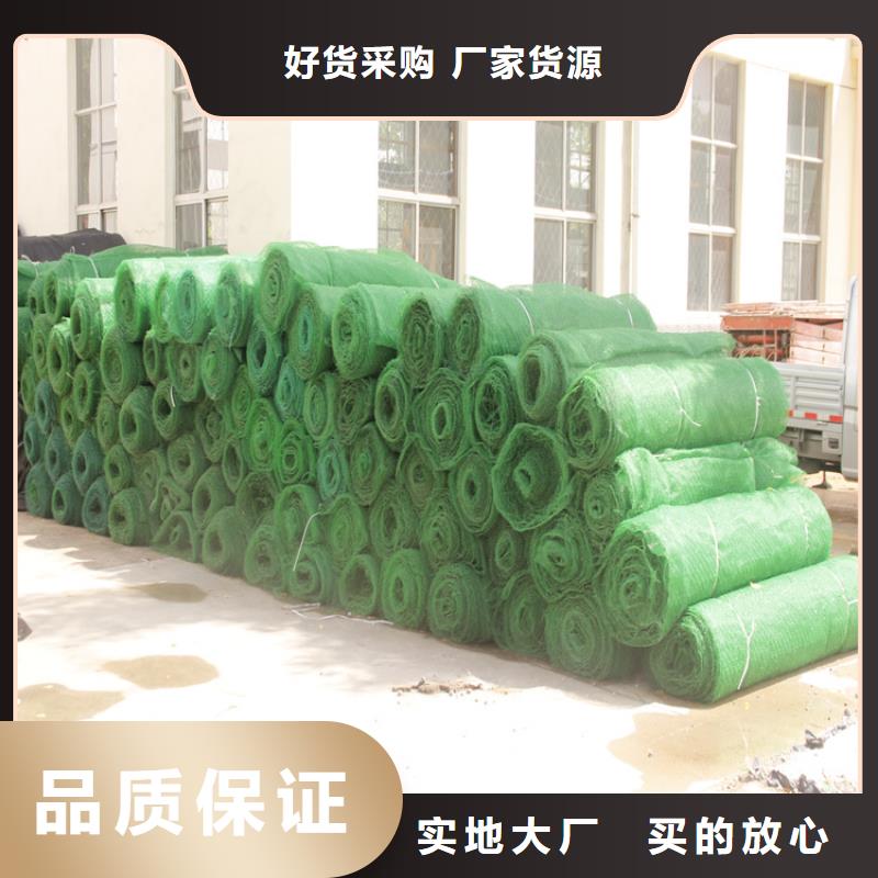 三维植被网HDPE土工膜当地货源