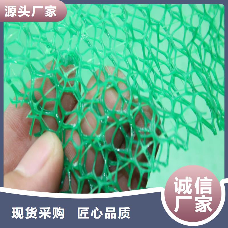 三维植被网土工布值得买