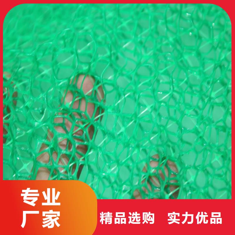 三维植被网防渗膜大厂生产品质
