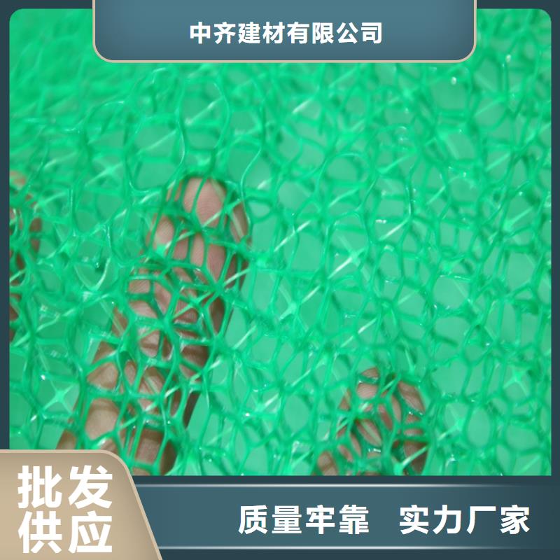 三维植被网土工布值得买
