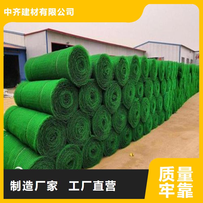 三维植被网HDPE土工膜当地货源