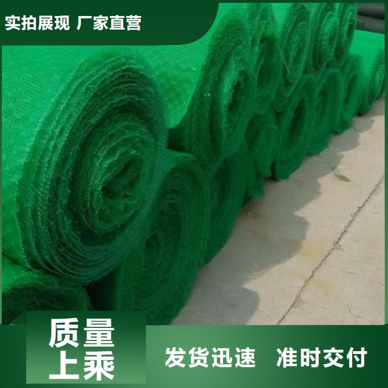 三维植被网HDPE土工膜当地货源
