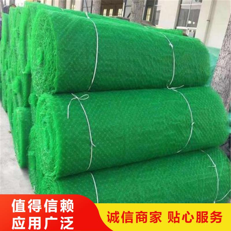 三维植被网防渗膜大厂生产品质