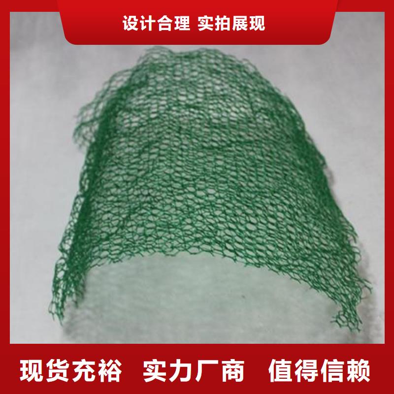 三维植被网HDPE土工膜当地货源