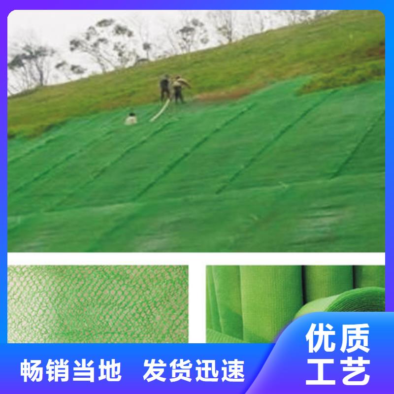 三维植被网防渗膜大厂生产品质