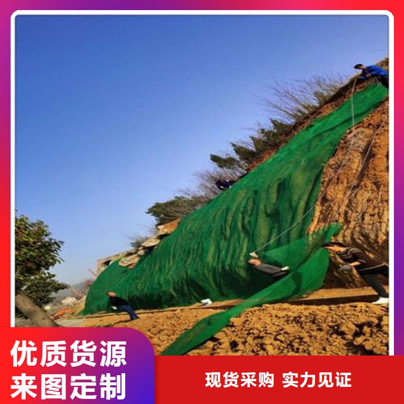 三维植被网HDPE土工膜当地货源