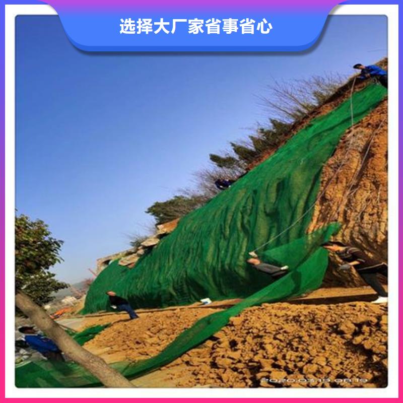 三维植被网防渗膜大厂生产品质