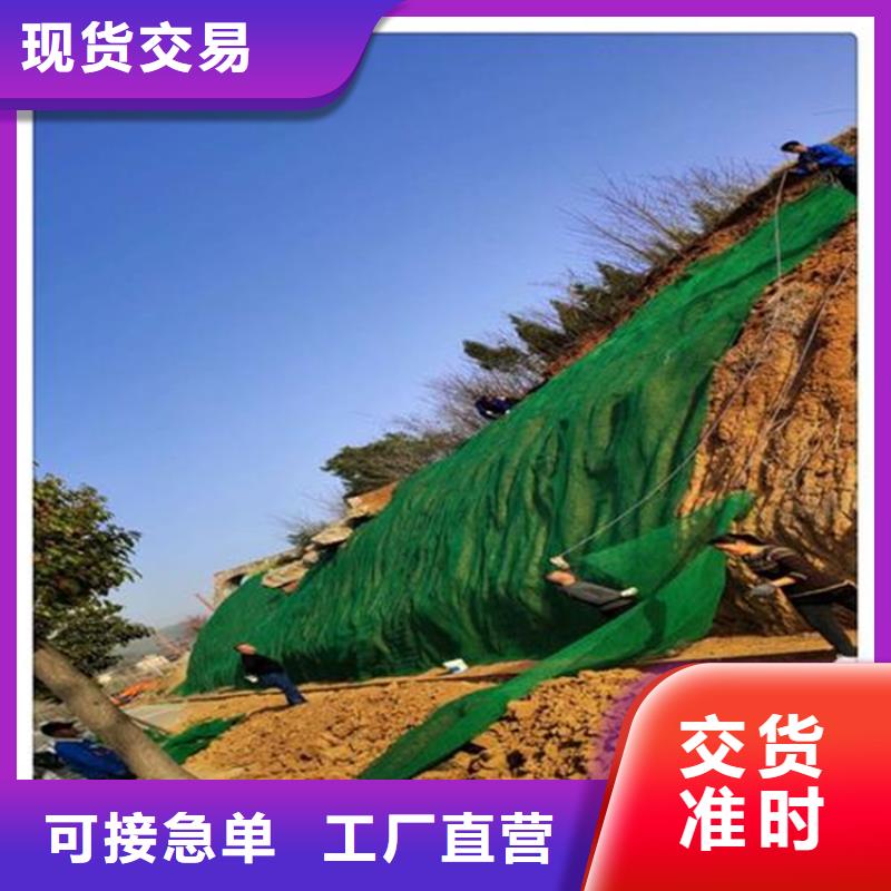 塑料盲沟-视频-塑料盲沟(中齐)覆盖地域河南省濮阳市台前|华龙|平顶山|洛阳|南阳|鹤壁|周口|新乡|安阳
