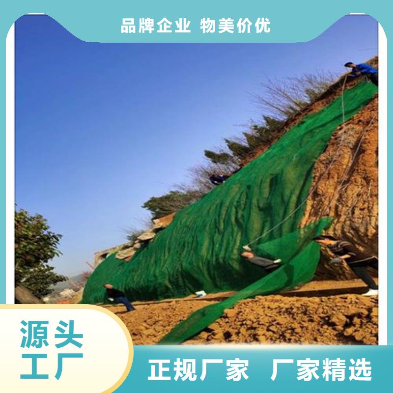 塑料盲沟视频-广东省湛江市中齐塑料盲沟可服务区域遂溪|雷州|汕头|韶关|河源|东莞|珠海|肇庆|中山等