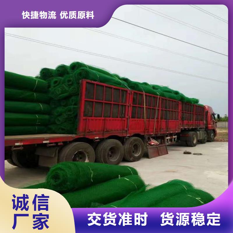 三维植被网防渗膜大厂生产品质