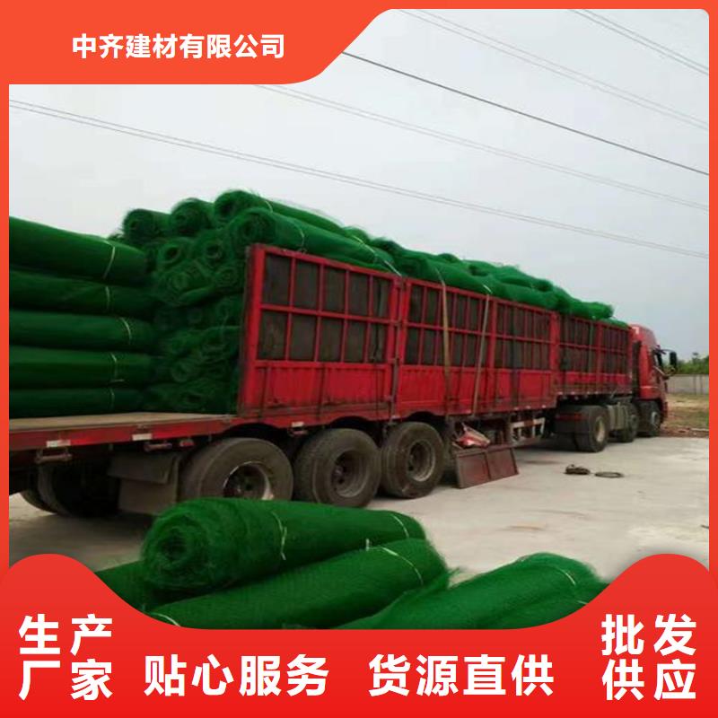 三维植被网HDPE土工膜当地货源