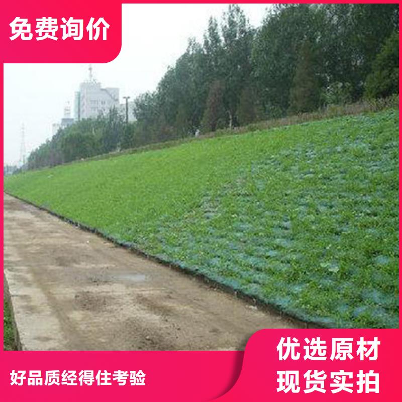 三维植被网HDPE土工膜当地货源