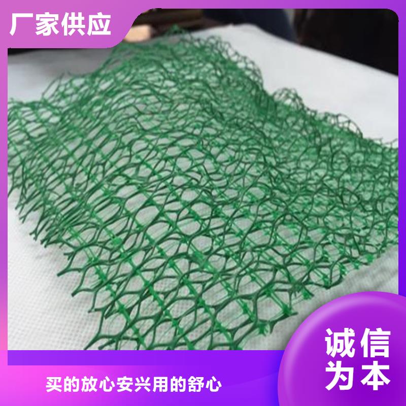 三维植被网HDPE土工膜当地货源