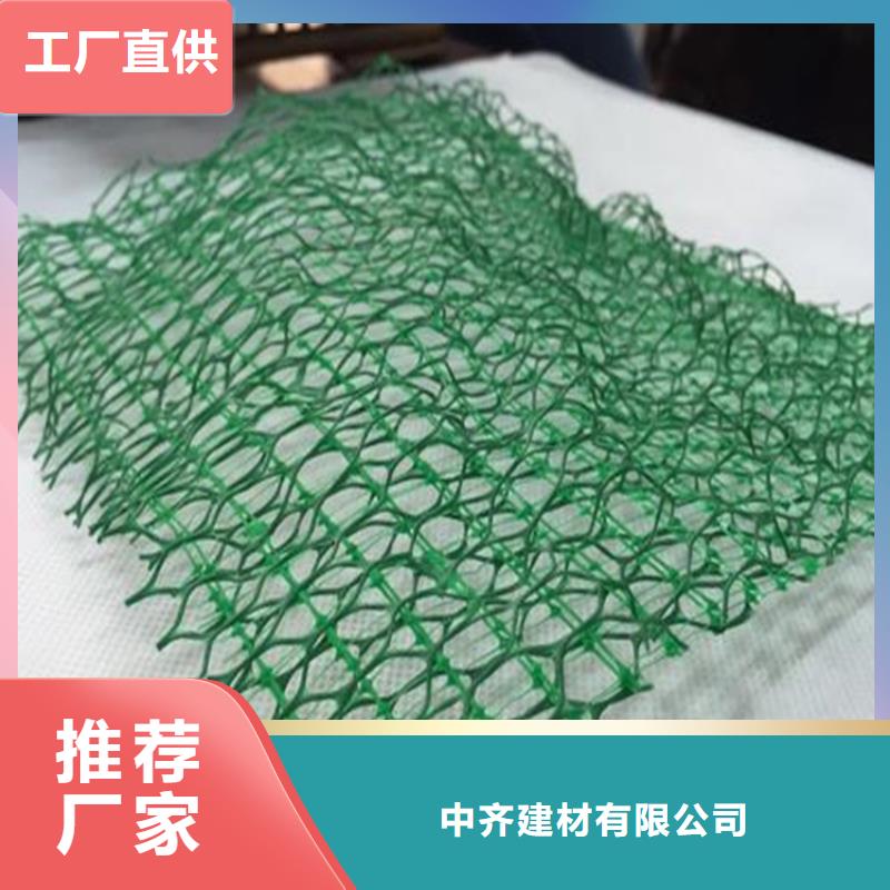 三维植被网防渗膜大厂生产品质
