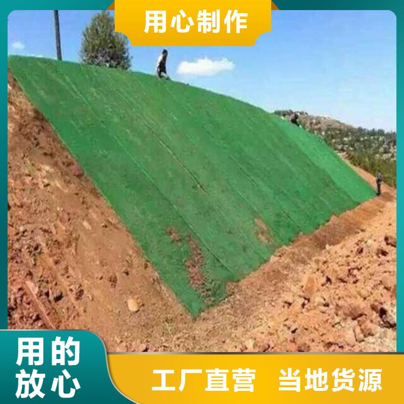 三维植被网HDPE土工膜当地货源