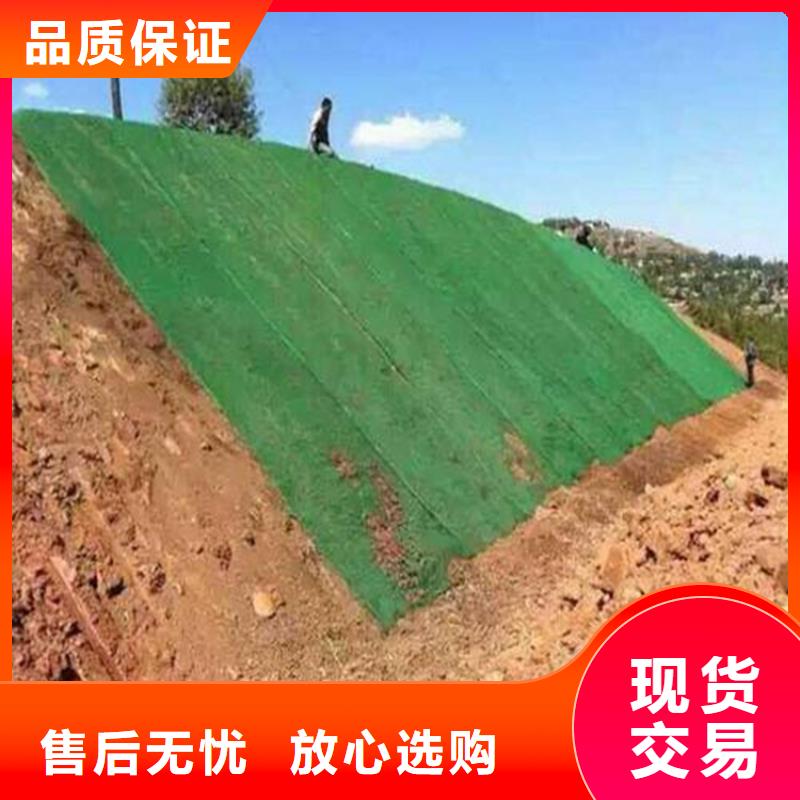 三维植被网防渗膜大厂生产品质