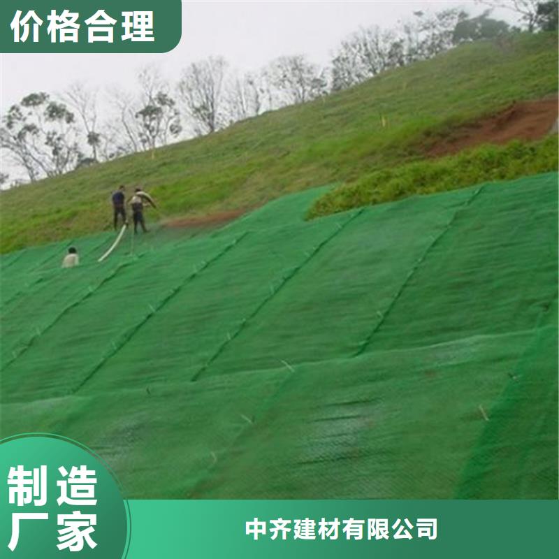 三维植被网HDPE土工膜当地货源