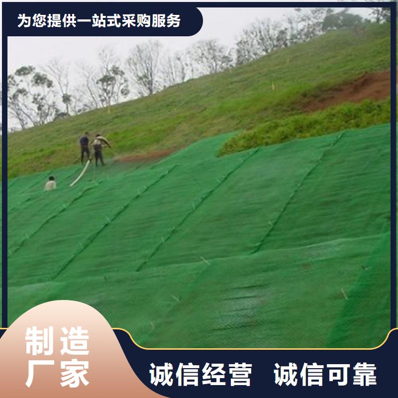 环保EM2三维土工网垫