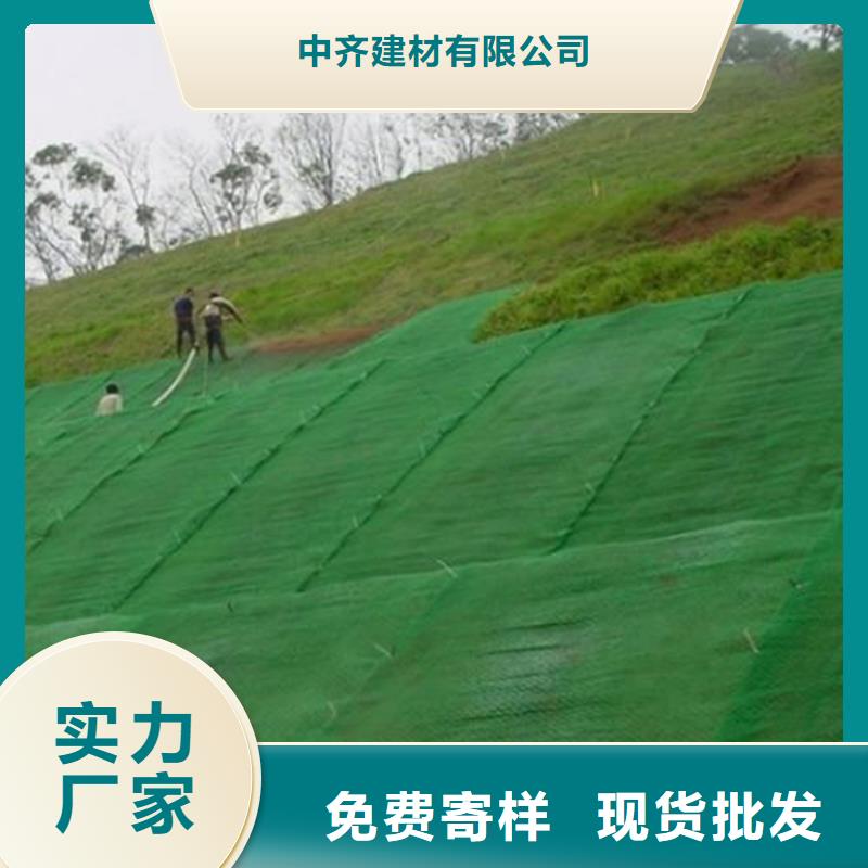 三维植被网HDPE土工膜当地货源