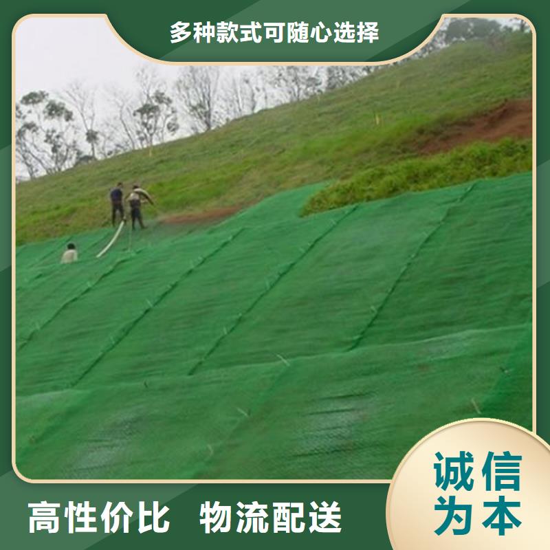三维植被网防渗膜大厂生产品质