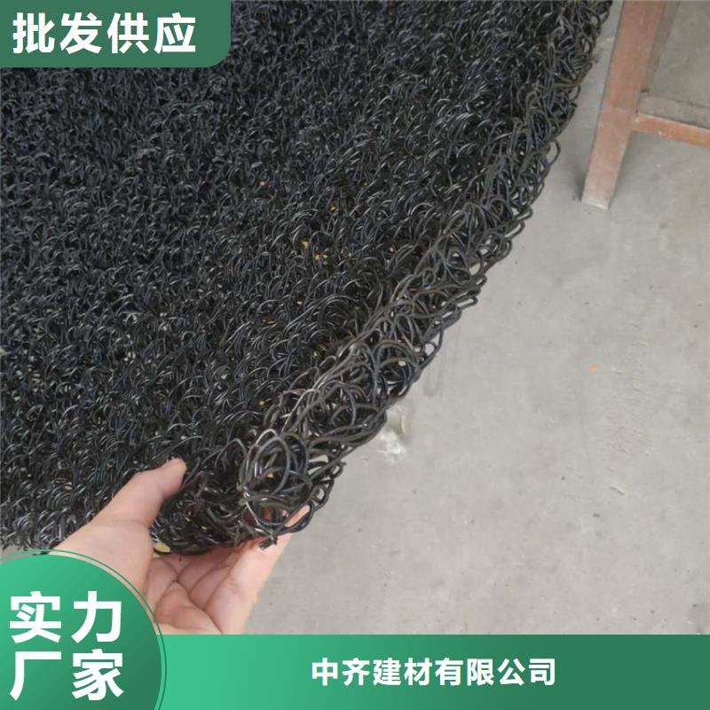 土工席垫双向塑料土工格栅诚信商家服务热情