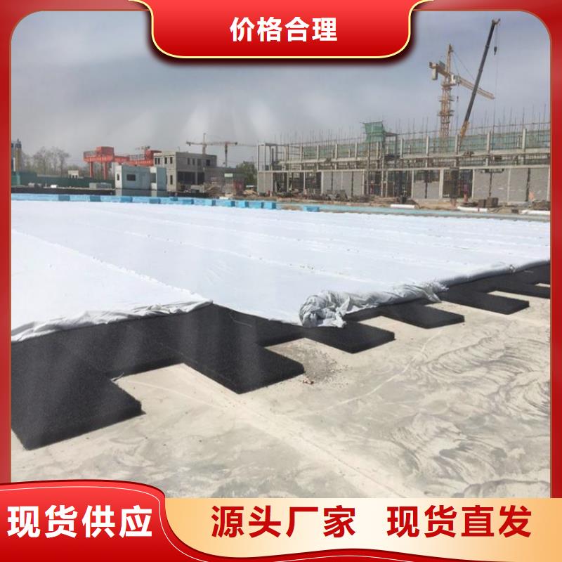 塑料盲沟-视频-塑料盲沟(中齐)覆盖地域黑龙江省大庆市让胡路|肇州|齐齐哈尔|鹤岗|黑河|牡丹江|绥化