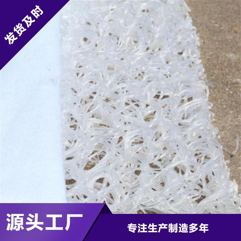 土工席垫_HDPE复合排水板实力工厂