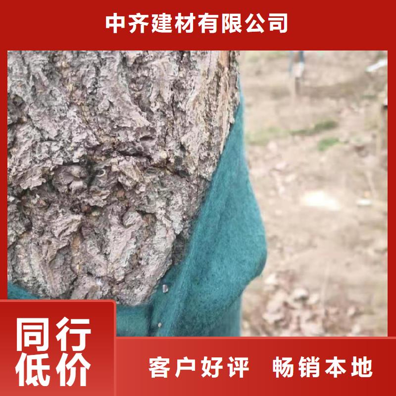 塑料盲沟-视频-塑料盲沟(中齐)覆盖地域河南省开封市龙亭|通许|安阳|南阳|平顶山|郑州|驻马店