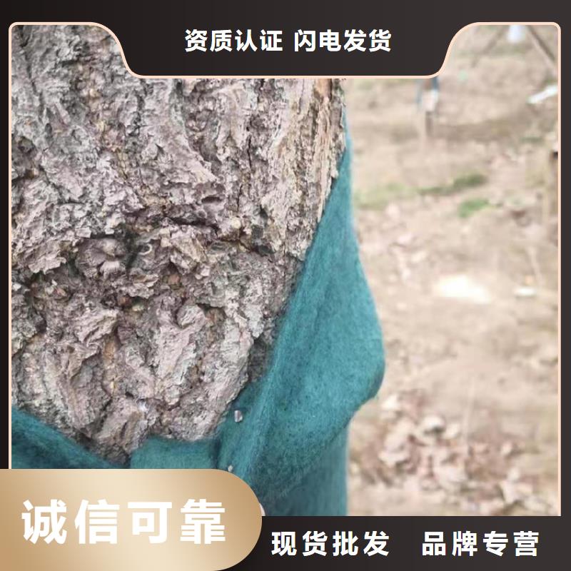 塑料盲沟-视频-鹿泉|辛集|邢台|衡水|秦皇岛|沧州|唐山|保定|承德中齐塑料盲沟_ 中齐建材(石家庄市分公司)