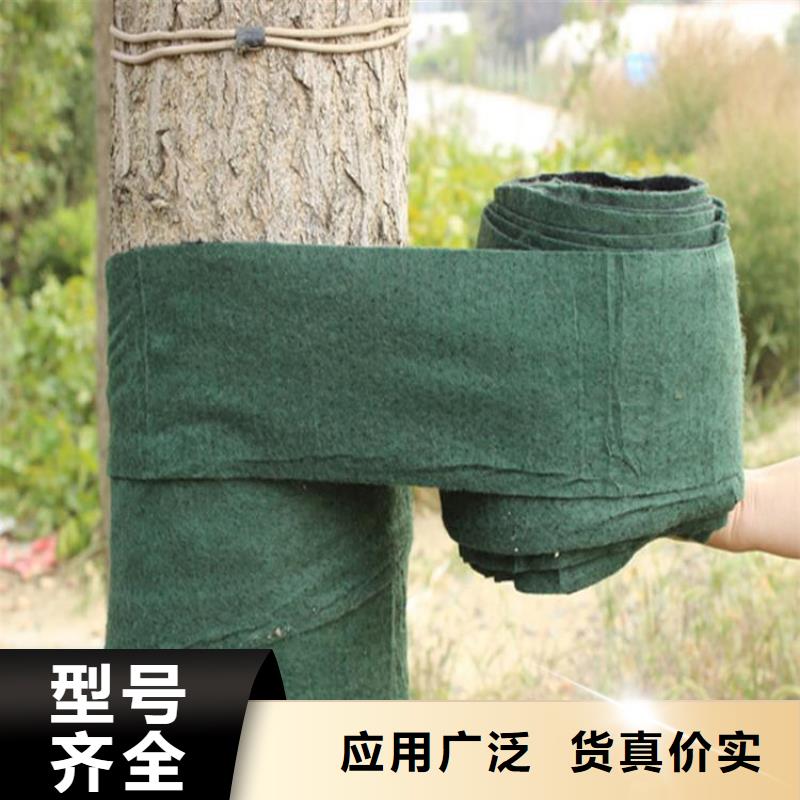 塑料盲沟-视频-鹿泉|辛集|邢台|衡水|秦皇岛|沧州|唐山|保定|承德中齐塑料盲沟_ 中齐建材(石家庄市分公司)