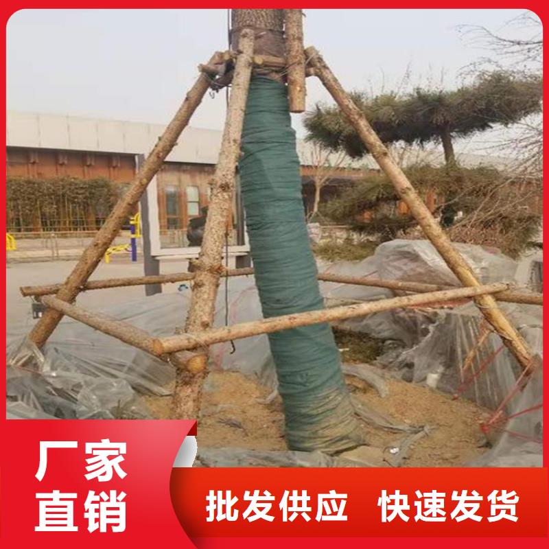 裹树布HDPE土工膜快速报价