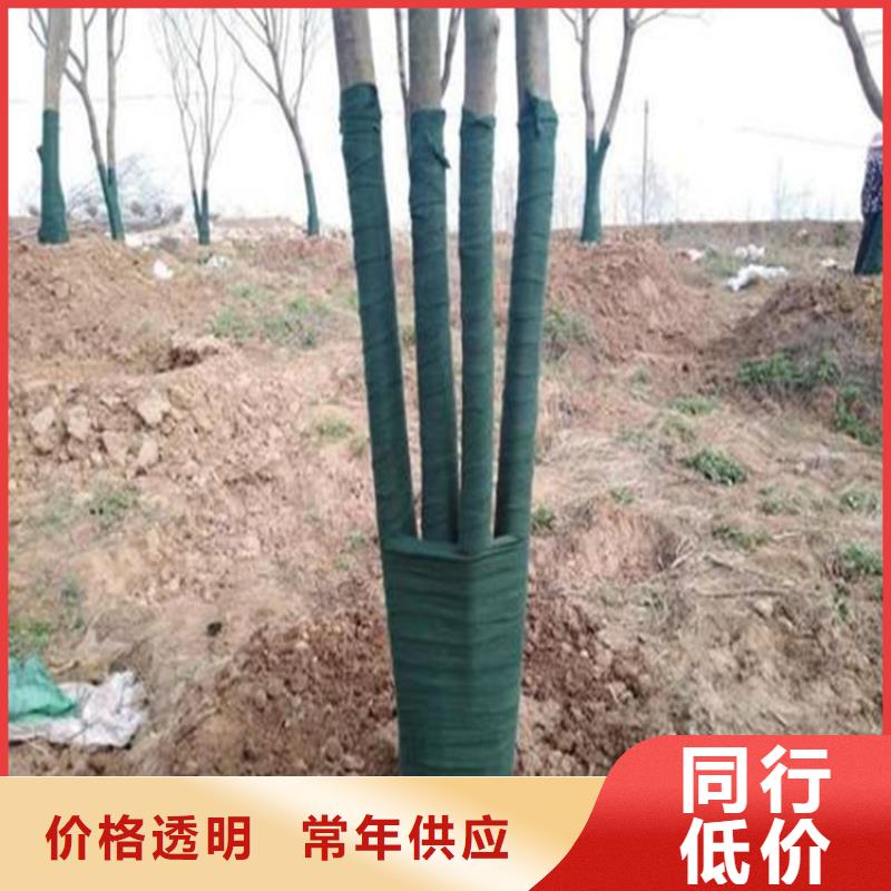 裹树布土工格栅细节决定成败
