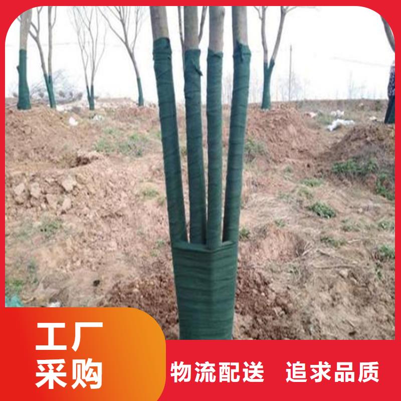 裹树布HDPE土工膜快速报价