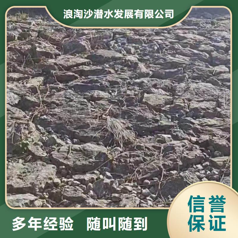 闸门堵漏按需定制18O