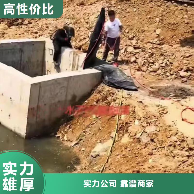 水下作业潜水员服务-水下摄影解决方案