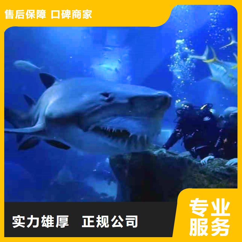 水下焊接-视频-水下焊接-四川省巴中市巴州|通江|阿坝|凉山|宜宾|广安(此地)服务商