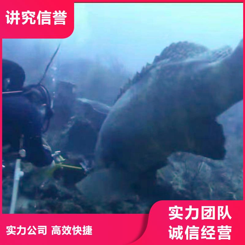 水下作业潜水员服务-水下拆除开孔价格美丽