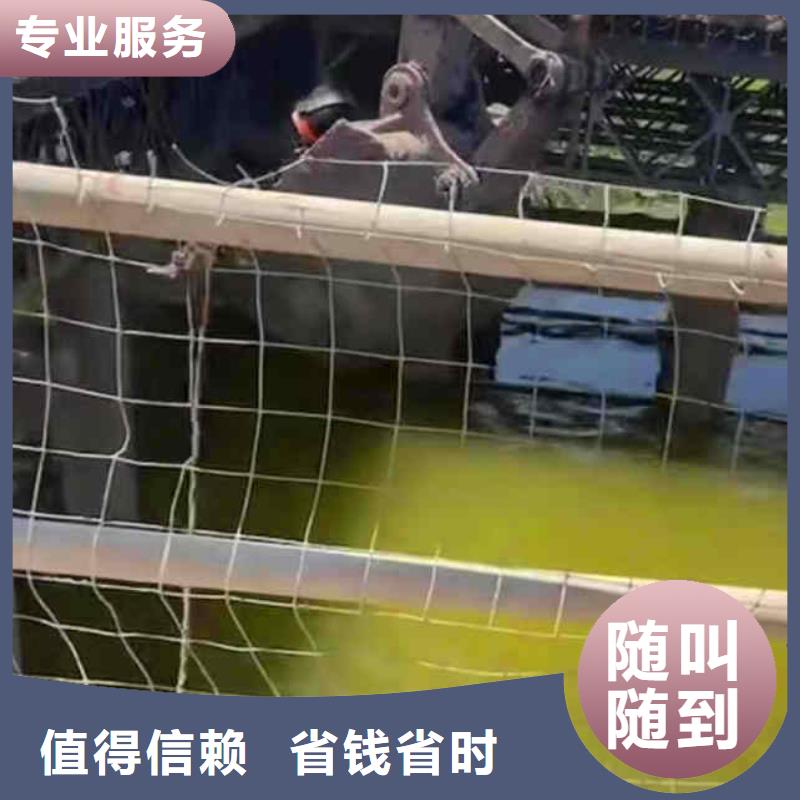 潜水员服务,水下摄影正规