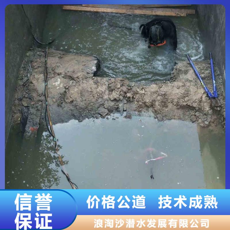 潜水员服务,水下摄影正规