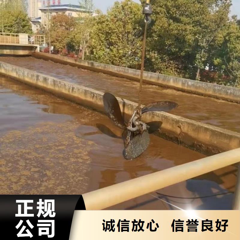 水上浮吊船实力雄厚
