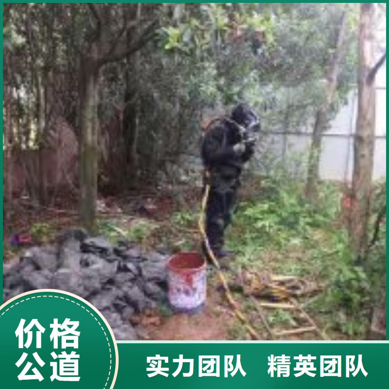 定制桥桩加固_实力厂家