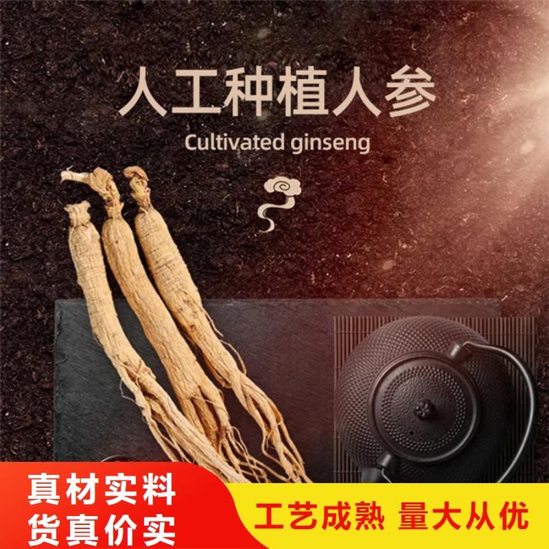 人参牡蛎片多少钱一盒生产厂家