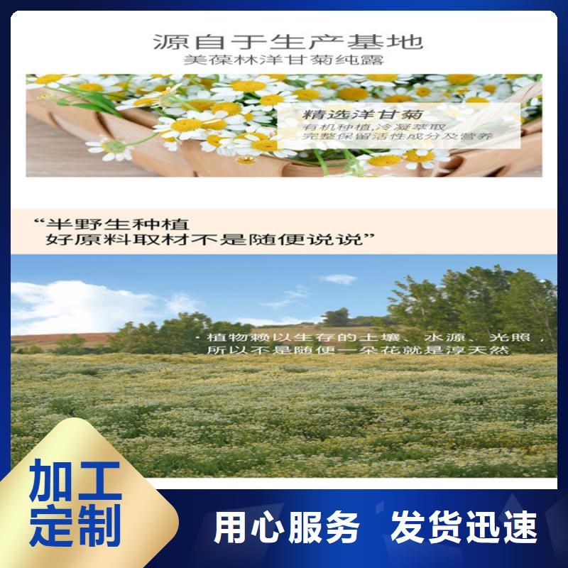 屯昌县人参牡蛎片多少钱一盒公司