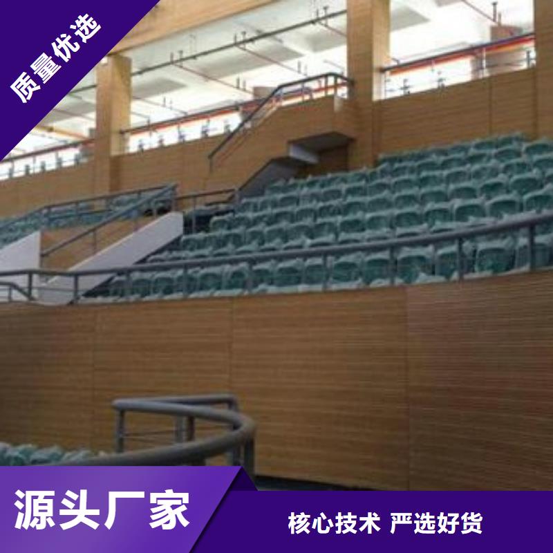 荣县篮球馆体育馆吸音改造方案--2025近方案/价格