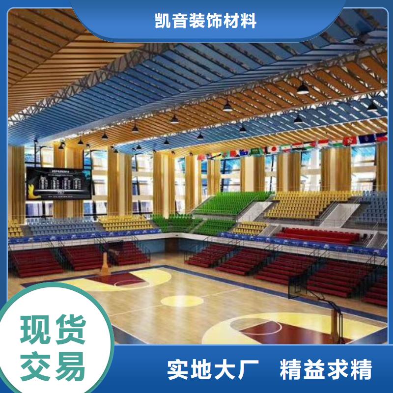 县大型体育馆声学改造公司--2025近方案/价格